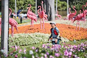 BIB: 
                            <button type="button" onclick="openModal(27793683)" class="btn btn-primary btn-sm float-right btn-popup" data-toggle="modal" data-target=".modal-high-quality">
                        <i class="fas fa-shopping-cart"></i> Add to Cart
                    </button>
                                            <button type="button" onclick="isThisMe(27793683, true)" class="btn btn-success btn-sm float-right btn-popup btn-isme hidden" data-toggle="tooltip" data-placement="bottom" title="นี่คือรูปของคุณใช่ไหม คลิกที่นี่เพื่อเอาเข้าอัลบั้ม">
                        <i class="fas fa-plus"></i> Add to album
                    </button>
                    <button type="button" onclick="isThisMe(27793683, false)" class="btn btn-warning btn-sm float-right btn-popup btn-isnotme hidden">
                        <i class="fas fa-ban"></i> Remove from album
                    </button>